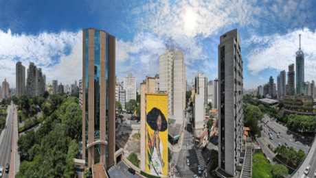 Foto da Capa. Artista Zé Palito. Obra Curitibana